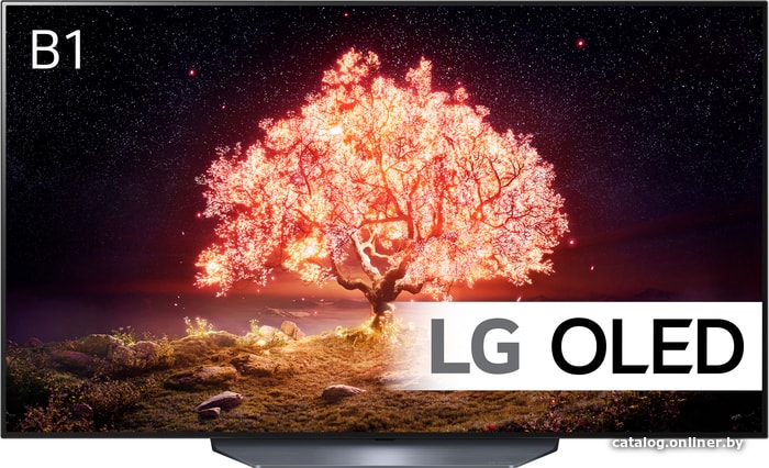 

OLED телевизор LG OLED55B1RLA