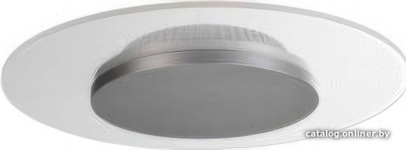 

Припотолочная люстра Deko-Light Zaniah 620033