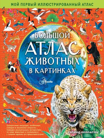 

АСТ. Большой атлас животных в картинках (Хокинс Эмили/Уильямс Рейчел)