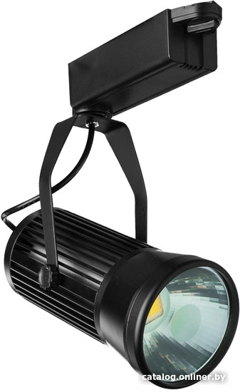 

Трековый светильник Arte Lamp Ricordo A6330PL-1BK