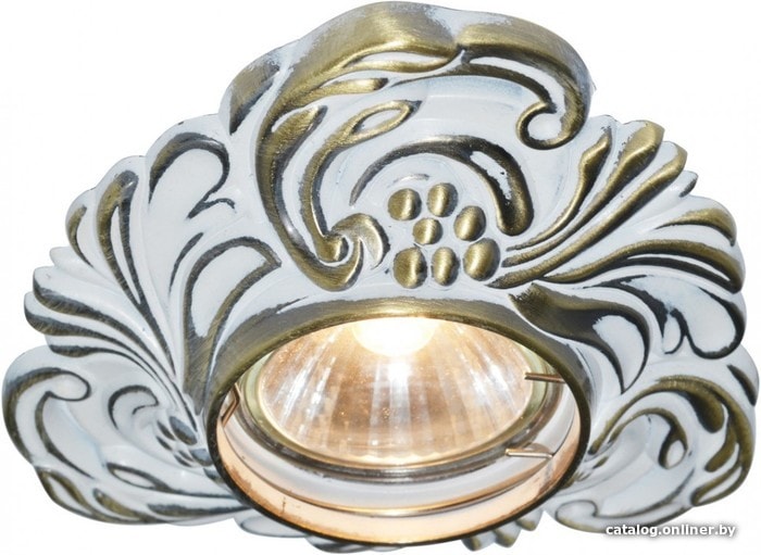 

Точечный светильник Arte Lamp Occhio A5285PL-1WG