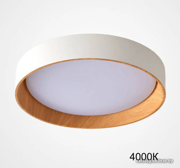 

Светильник-тарелка ImperiumLoft Wenny01 223984-23