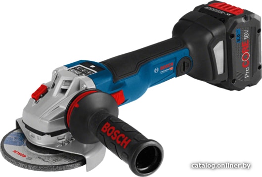 

Угловая шлифмашина Bosch GWS 18V-10 SC Professional 06019G340D (с 2-мя АКБ, кейс)