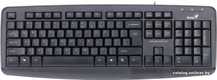

Клавиатура Genius KB-110X USB (черный)