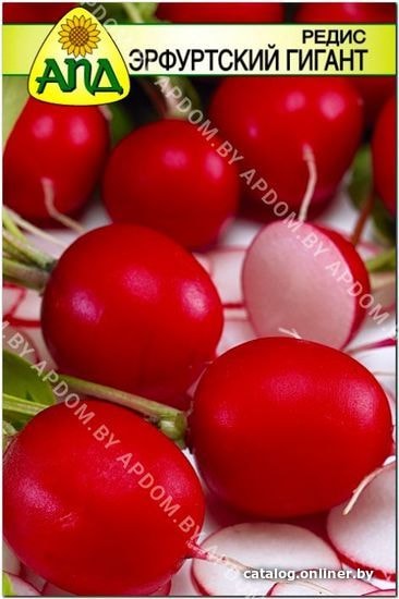 

Семена АПД Редис Эрфуртский Гигант 200 шт