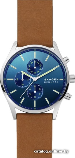 

Наручные часы Skagen Holst SKW6732