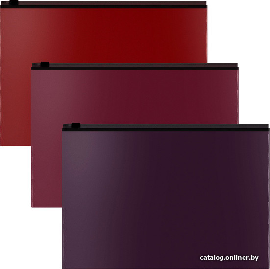 

Набор папок Erich Krause Matt Blackberry Marsala A4 ассорти 54994 (3 шт)