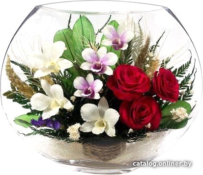 

Цветы, букеты Natural Flower Products Композиция из орхидей и красных роз LTT-04