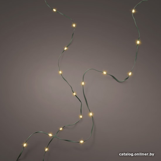 

Новогодняя гирлянда Lumineo Basic Micro LED flex string 27 м 493236