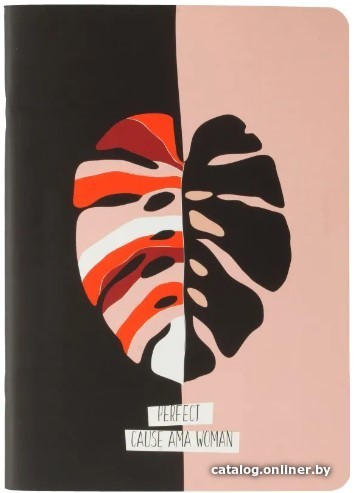 

Полуобщая тетрадь Be Smart Abstract Листок N2483 (48 л, клетка)