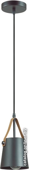 

Светильник Lumion Tristen 3641/1