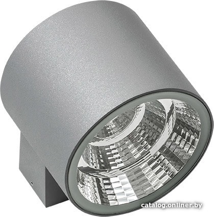 

Фасадный светильник Lightstar Paro 370694