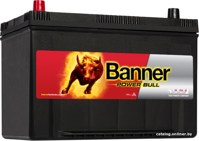 

Автомобильный аккумулятор Banner Power Bull P95 05 (95 А·ч)