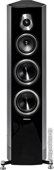

Напольная акустика Sonus Faber Sonetto V (черный)
