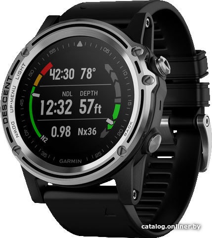 

Умные часы Garmin Descent Mk1 (серебристый/черный)