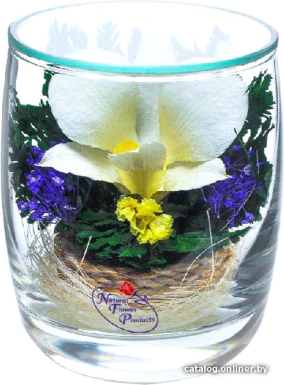 

Цветы, букеты Natural Flower Products Композиция из белых орхидей ZTV3