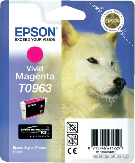 

Картридж Epson C13T09634010