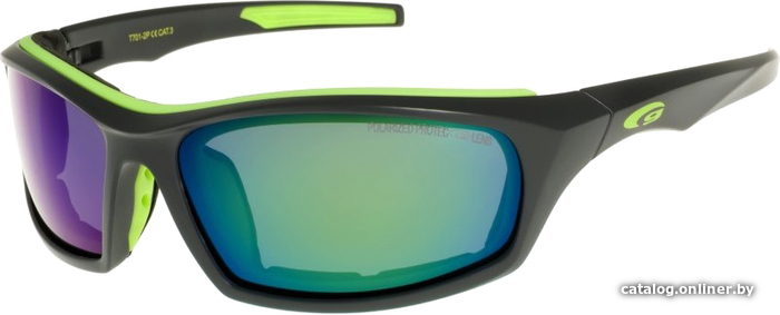 

Лыжная маска Goggle T701-2P Polarized