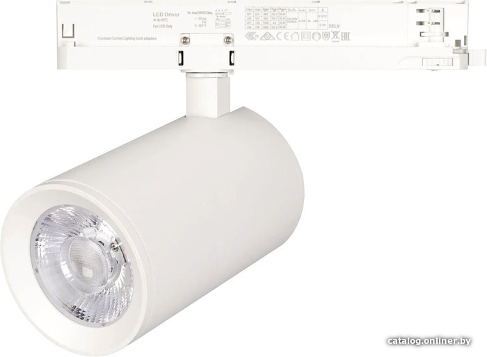 

Трековый светильник Arlight Nika 031176(1)