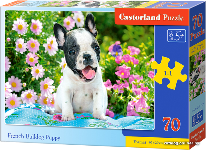 

Пазл Castorland Premium Щенок французского бульдога В-070152 (70 эл)