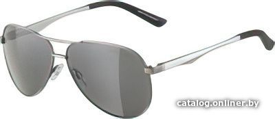 

Солнцезащитные очки Alpina A 107 A85173-32 (титан)