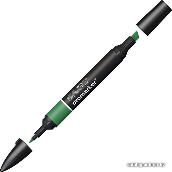 

Маркер художественный Winsor & Newton Pro 203244 (зеленый сосновый)
