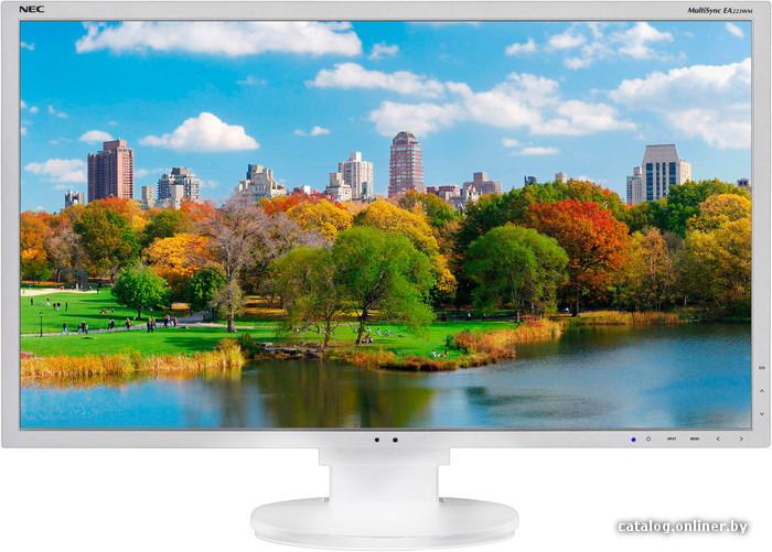 

Монитор NEC MultiSync EA223WM White/White