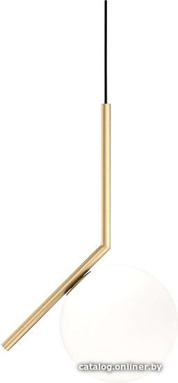 

Подвесная люстра L'Arte Luce Ic lights L25763.86