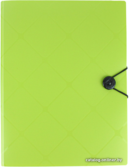 

Папка для бумаг Darvish Diamond DV-1771D-LG (салатовый)