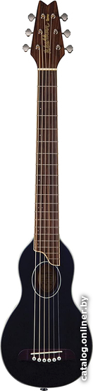 

Акустическая гитара Washburn Rover 10SK (черный)