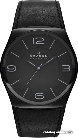 

Наручные часы Skagen SKW6043