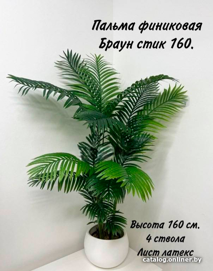 

Искусственное растение Артфлора Пальма финиковая Браун 160 см 101037