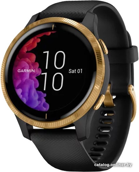 

Умные часы Garmin Venu (черный/золотистый)