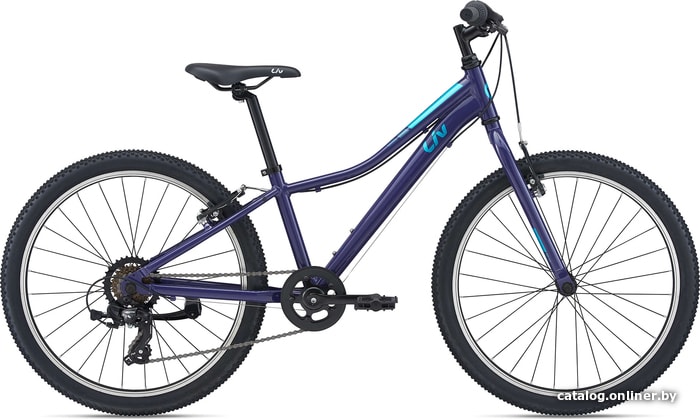 

Велосипед Giant Liv Enchant 24 Lite 2021