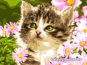 

Картина по номерам Lori Полосатый котёнок Кпн-074