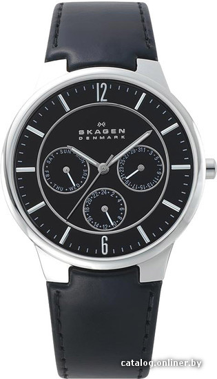 

Наручные часы Skagen 331XLSLB