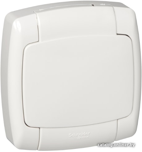 

Розетка Schneider Electric Рондо RA16-112B-BI