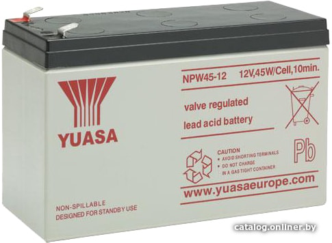 

Аккумулятор для ИБП Yuasa NPW45-12 (12В/7.5 А·ч)