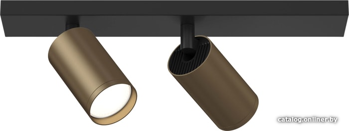 

Точечный светильник Maytoni FOCUS S C051CL-02BBZ
