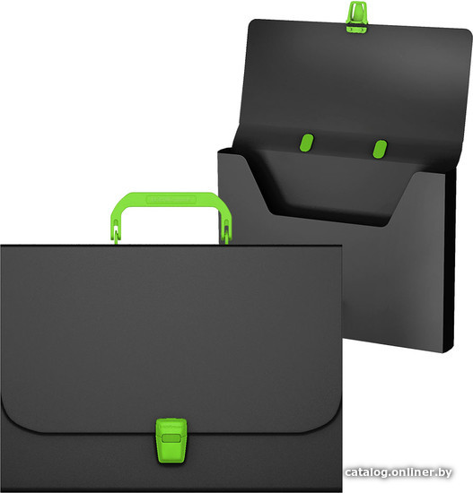 

Папка-портфель Erich Krause Matt Accent 50442 (черный/зеленый)