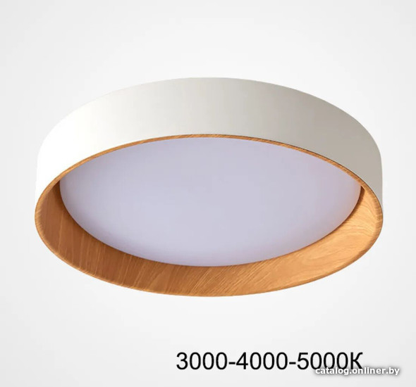 

Светильник-тарелка ImperiumLoft Wenny01 223985-23