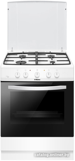 

Кухонная плита Hansa FCGW620554