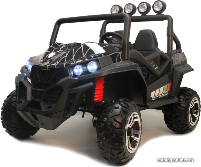 

Электробагги RiverToys T888TT 4WD 24V (черный Spider)