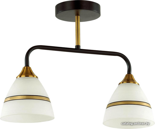 

Люстра средней высоты Lumion Nettie 5214/2CA