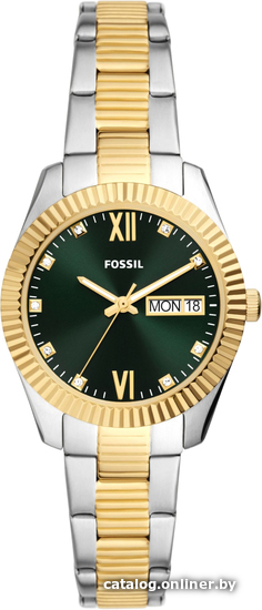 

Наручные часы Fossil Scarlette ES5240