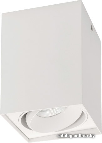 

Точечный светильник Arlight SP-CUBUS-S100x100WH-11W Warm White 020386