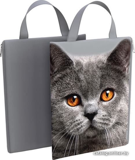 

Папка для бумаг Erich Krause Grey Cat 57380 (серый)