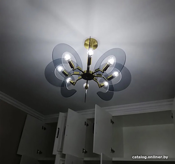 

Подвесная люстра ImperiumLoft Im_L821 155041-60