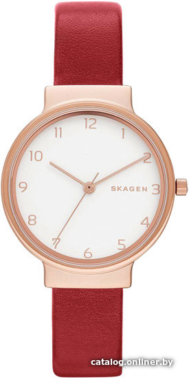 

Наручные часы Skagen SKW2552