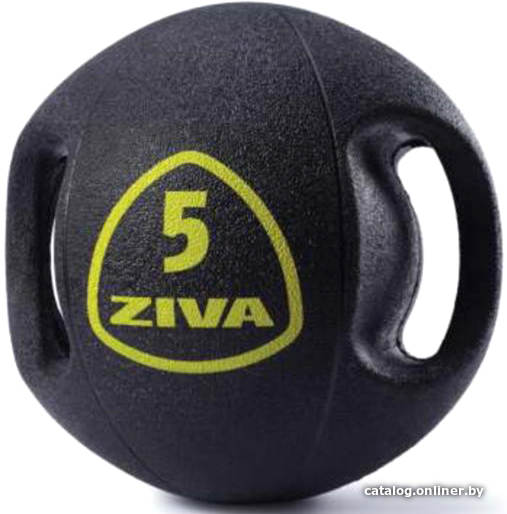 

Медбол Ziva Medball ZVO-MDSG-15-02 (5 шт)